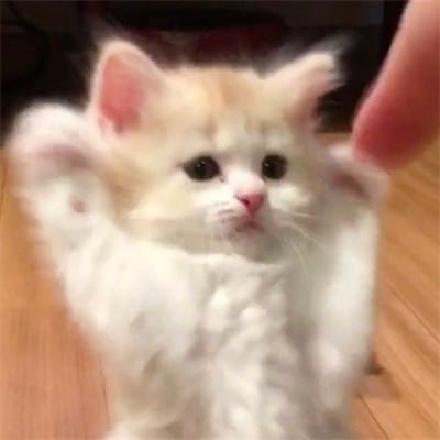 นนน กรภัทร์ avatar